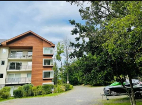 Depto estudio ubicado en Condominio Pucon Andino